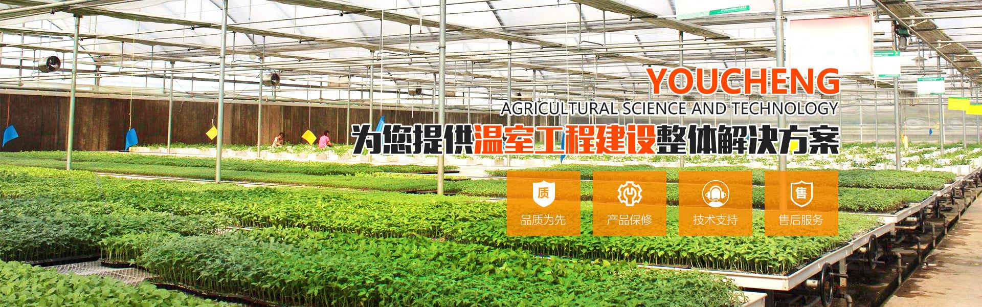 钢结构温室榴莲视频下载大全